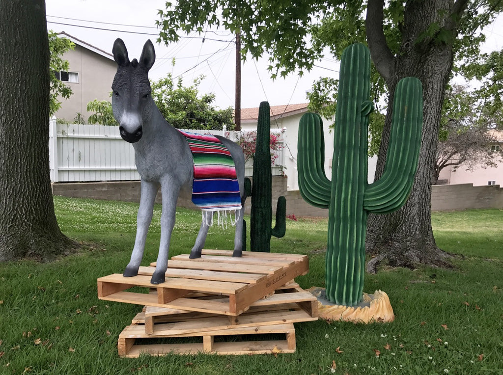 Western Cactus