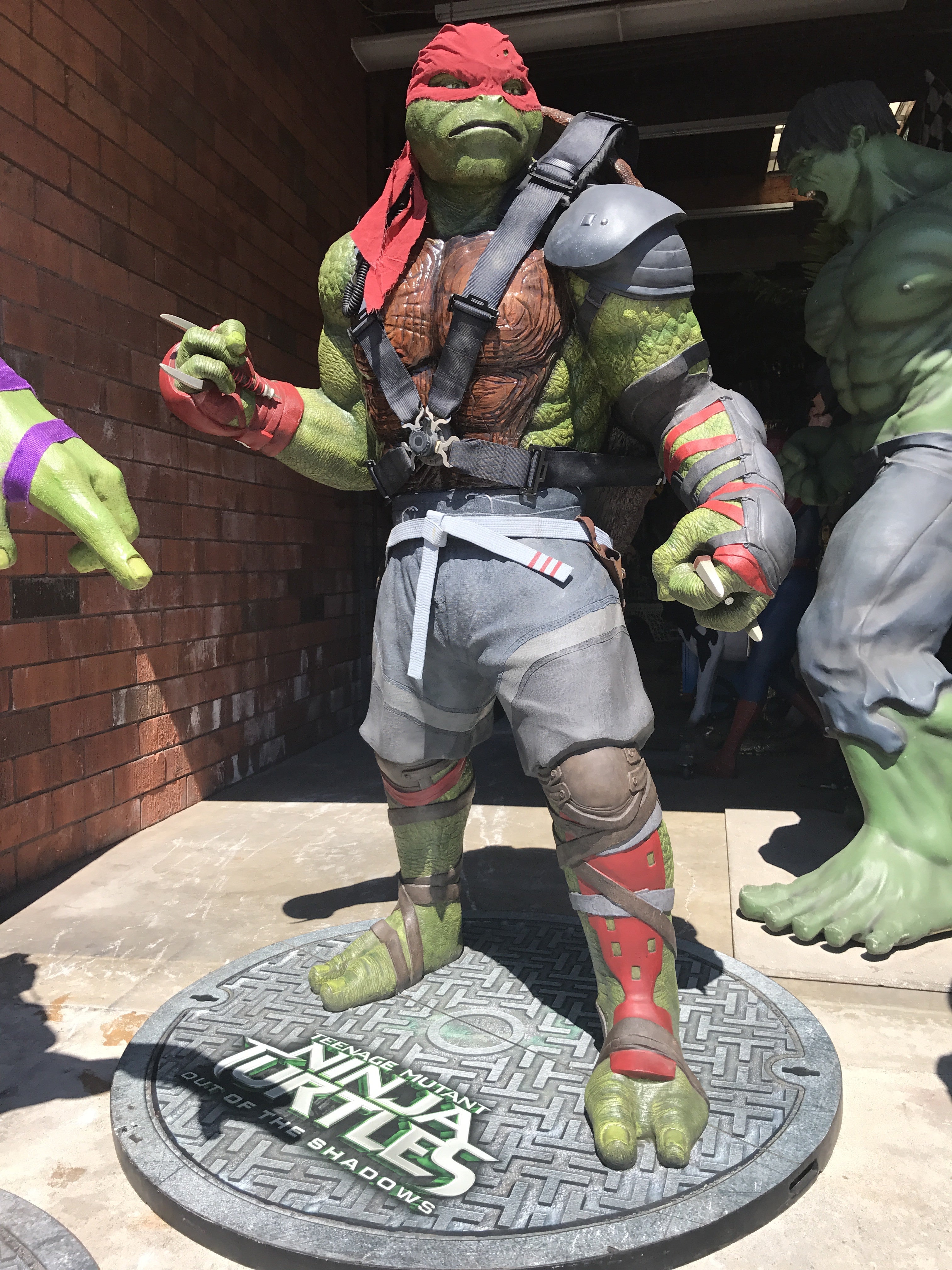 Raphael Teenage Mutant Ninja Turtle