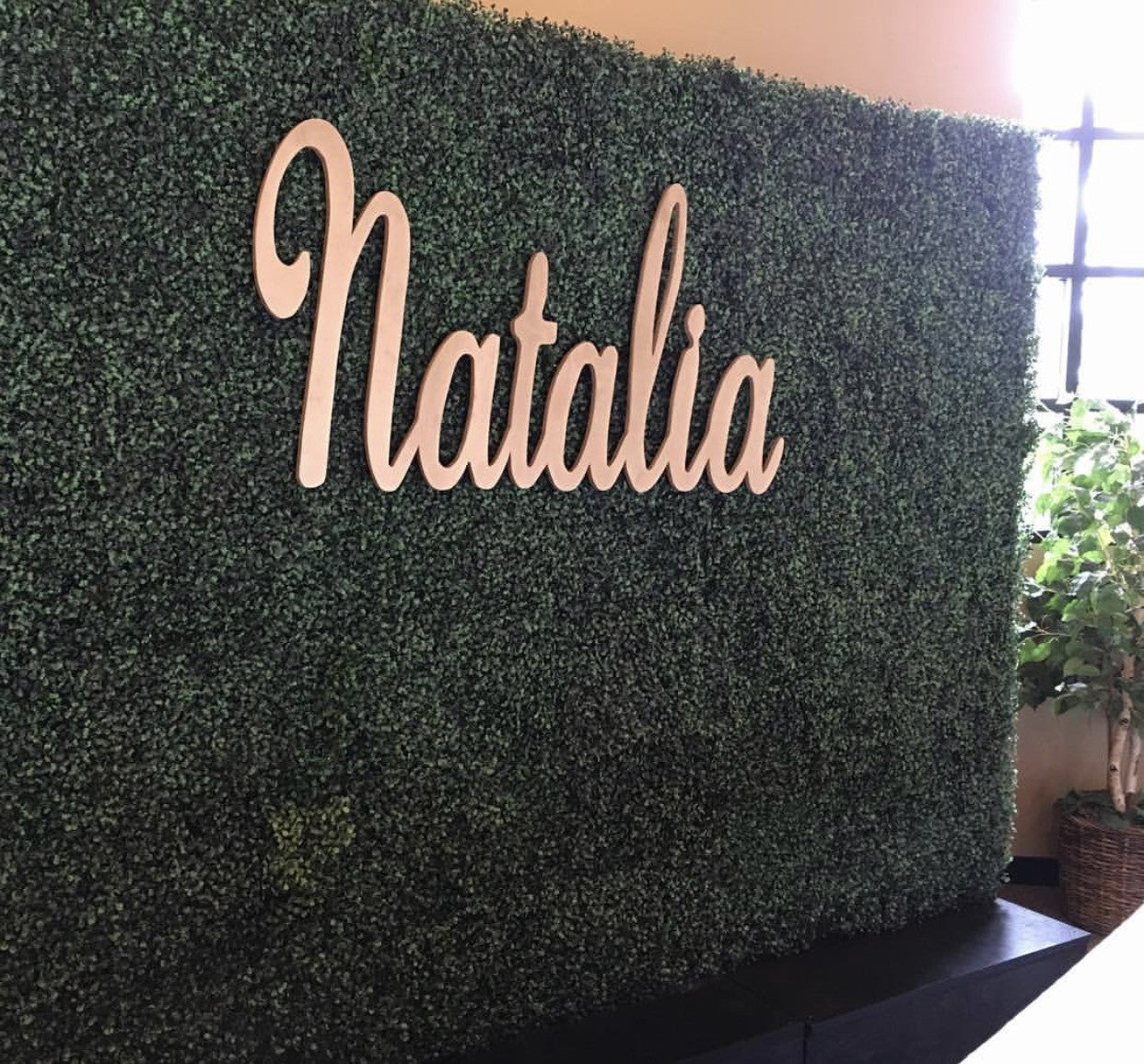 Hedge Wall With Black Base