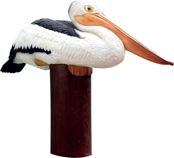 Sitting Pelican Bird on Post