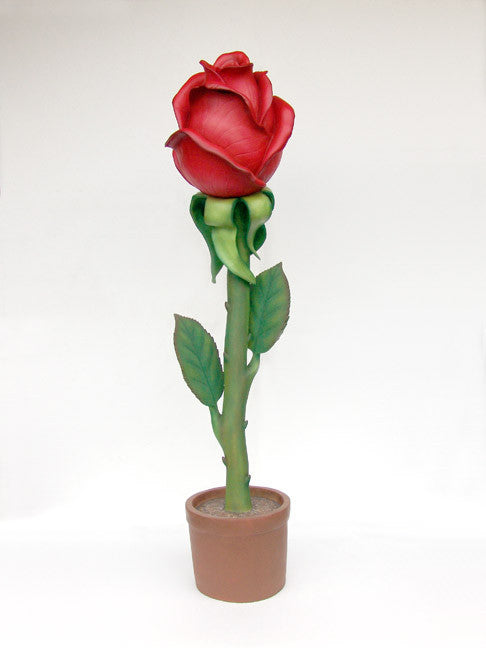 Large Rose Flower