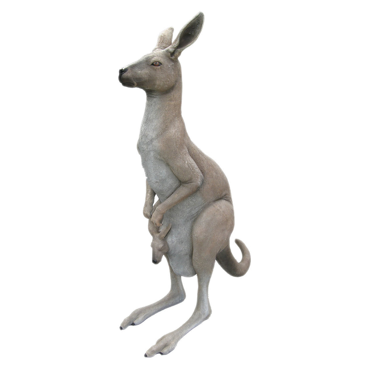 Kangaroo