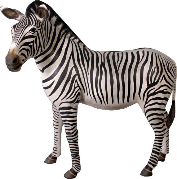 Adult Standing Zebra