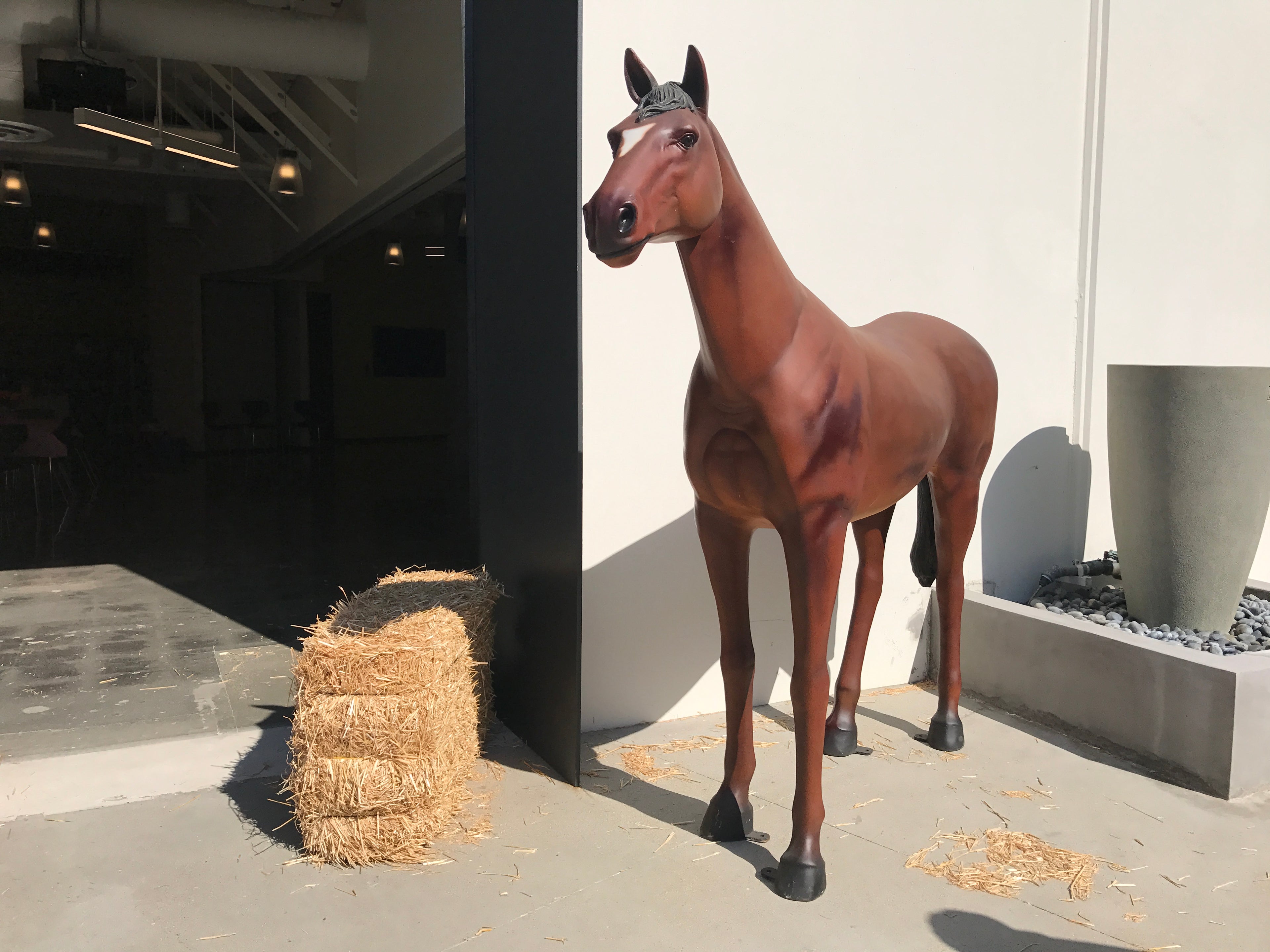 Large Dark Brown Horse