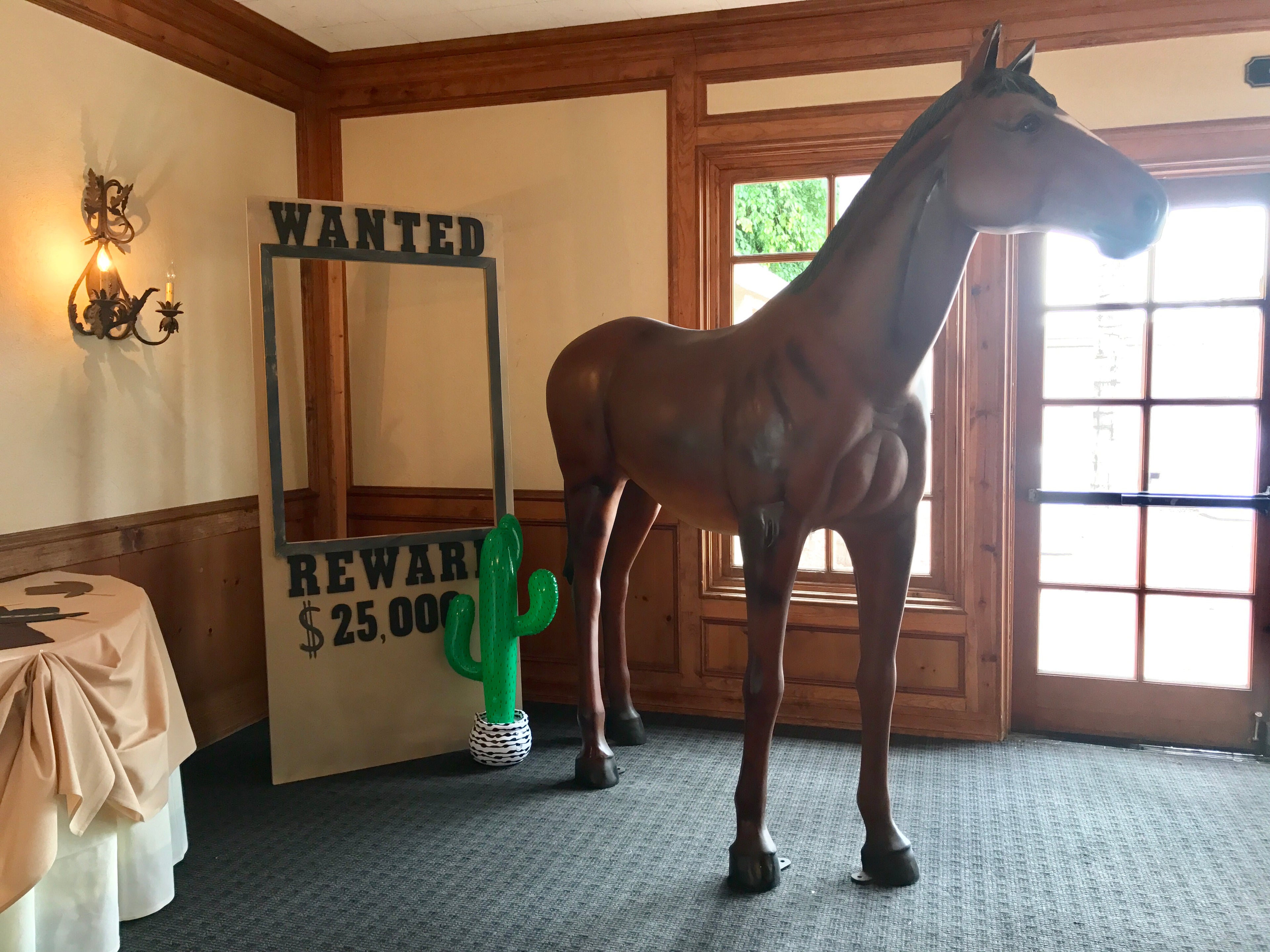 Large Dark Brown Horse