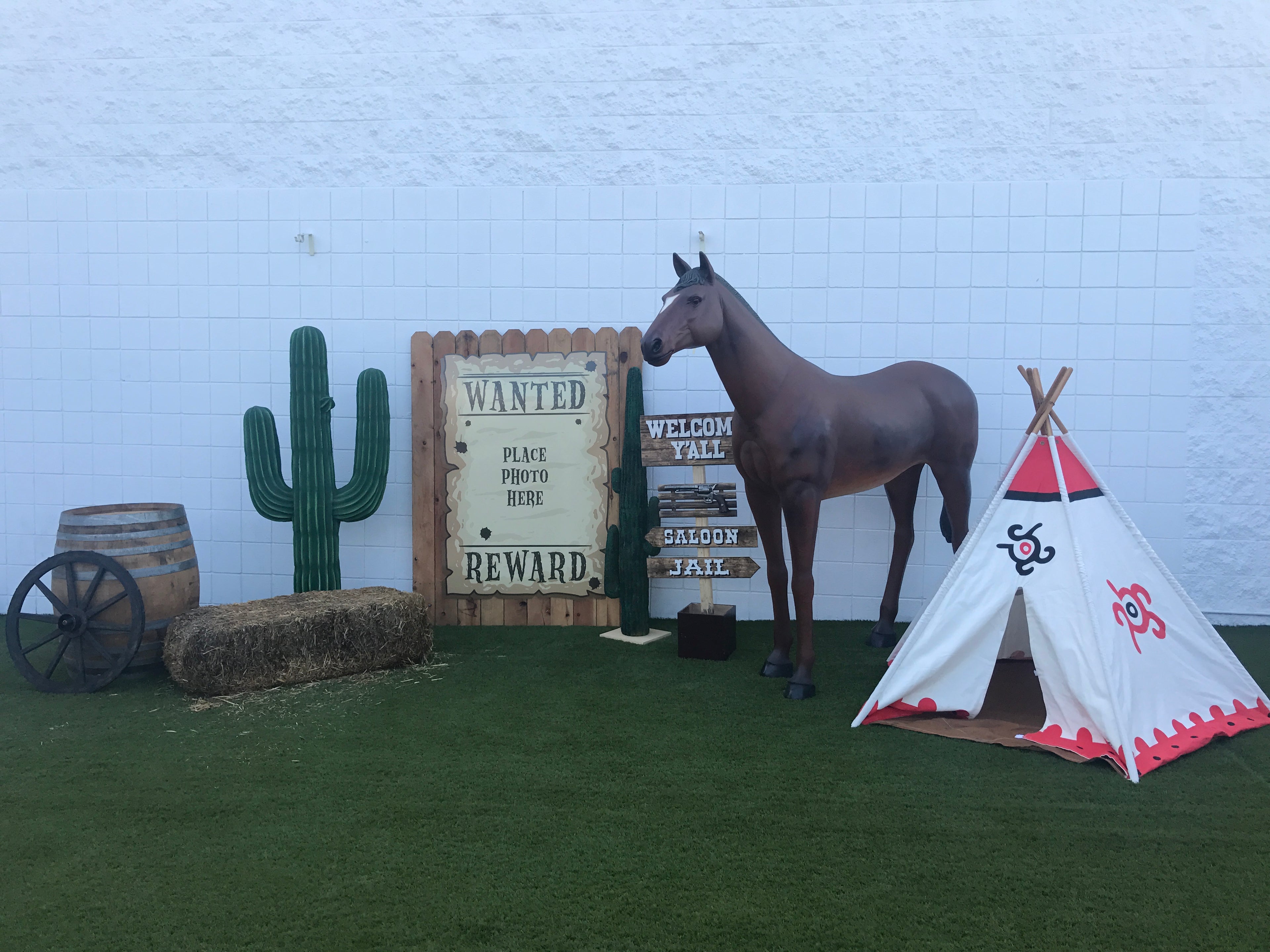 Large Dark Brown Horse