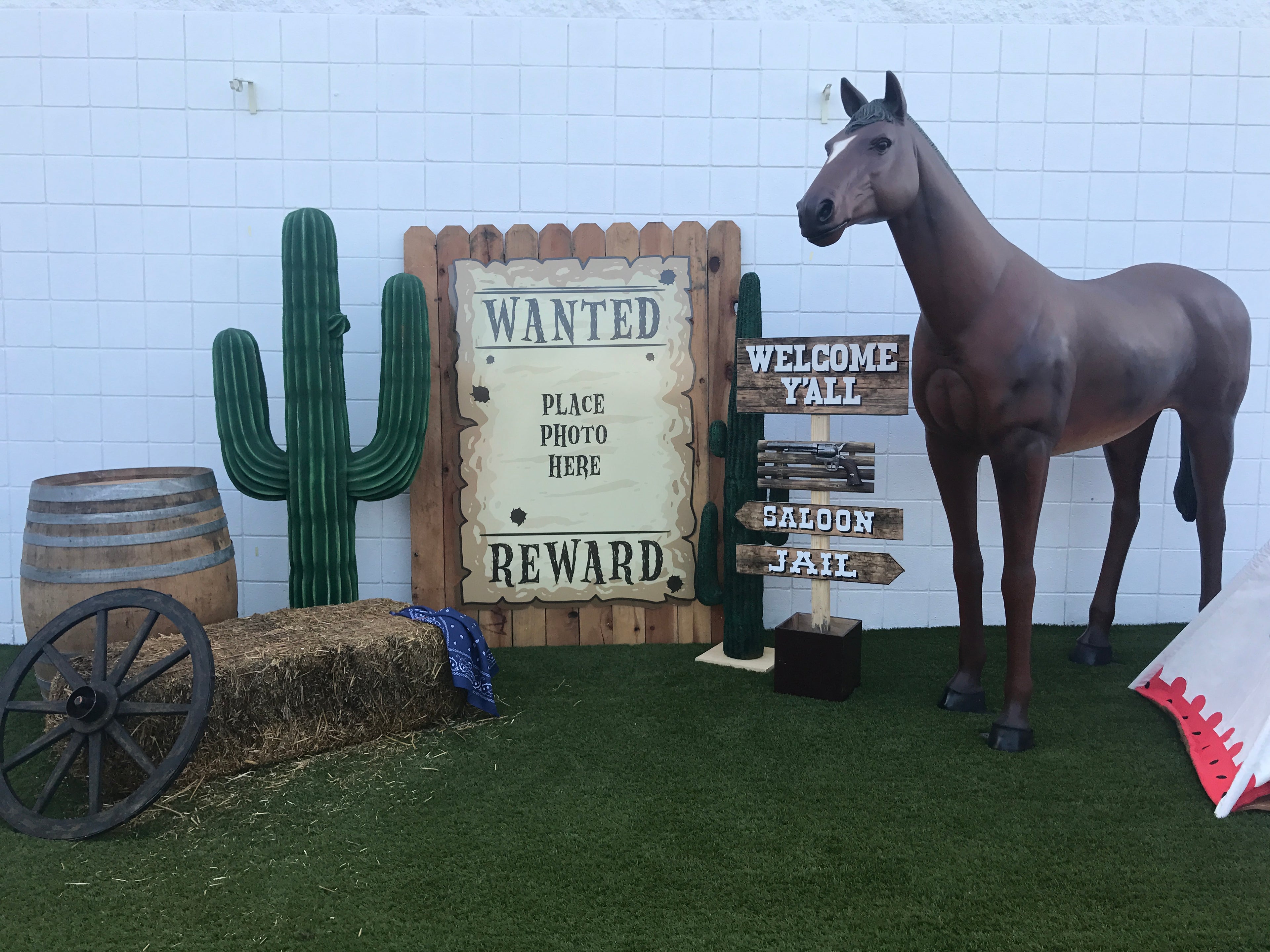 Large Dark Brown Horse