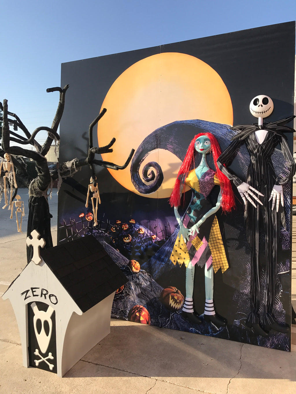 Nightmare Before Christmas Package