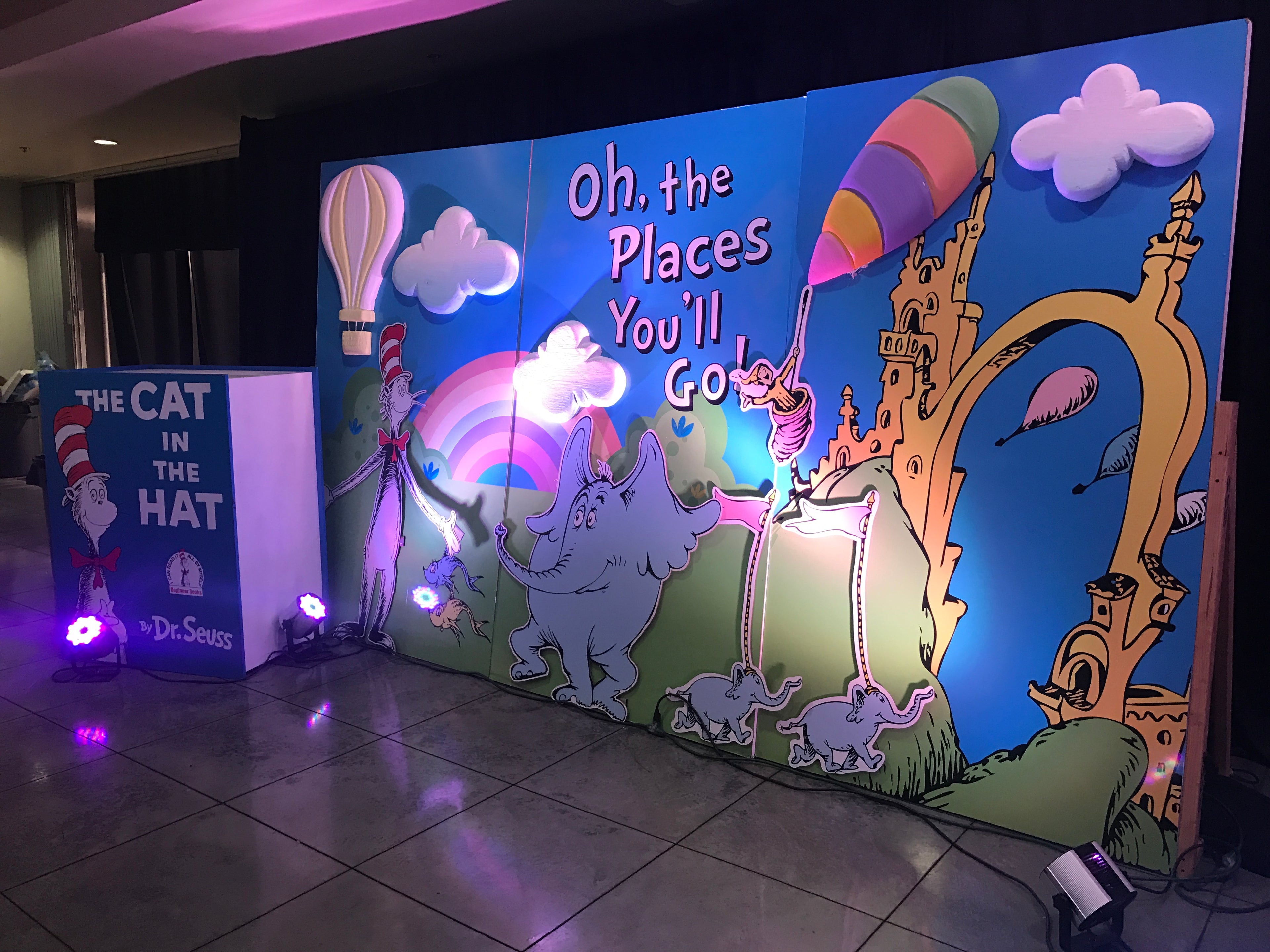 The Cat In The Hat Book