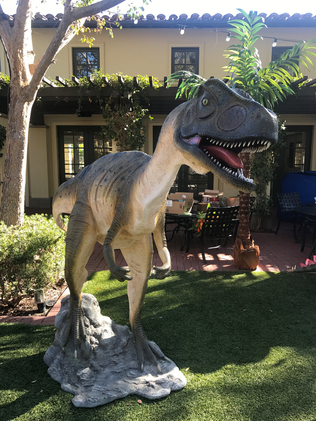 Allosaurus Dinosaur