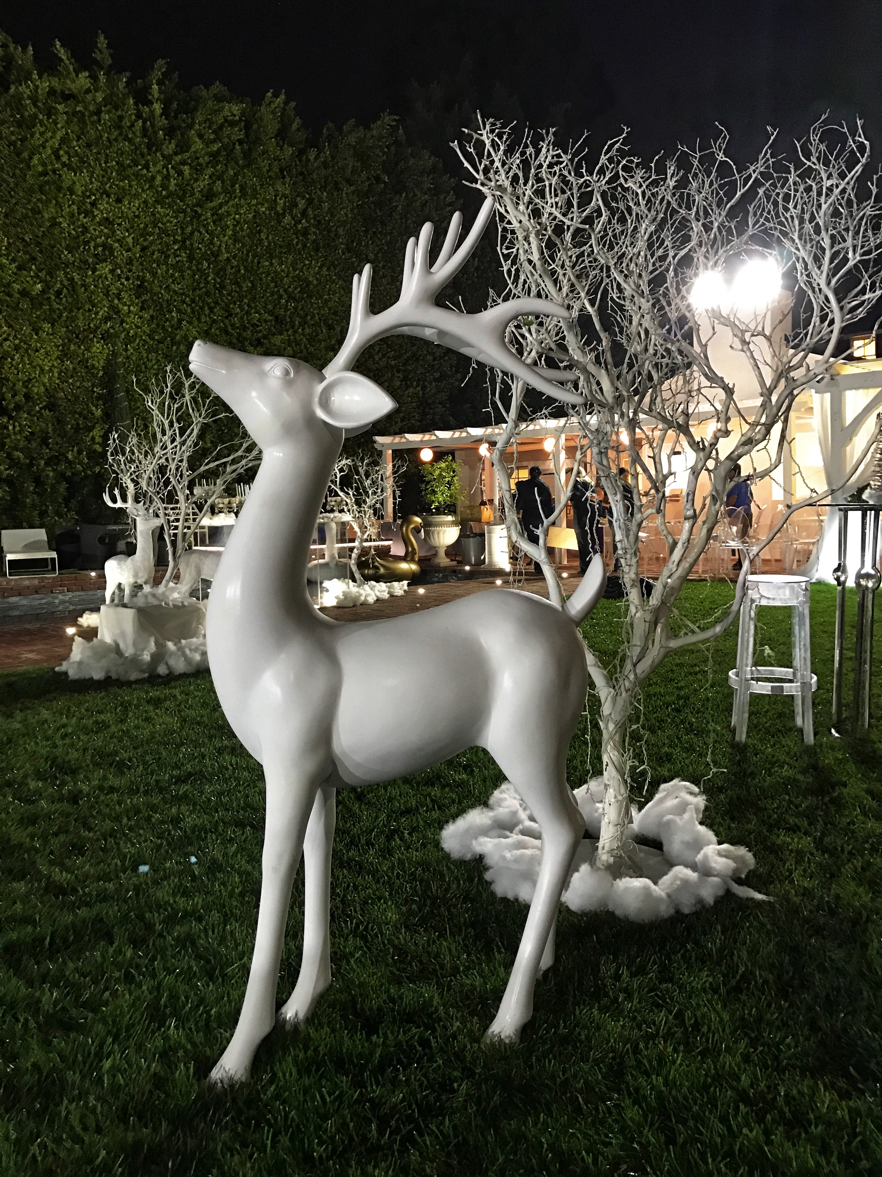 White Reindeer