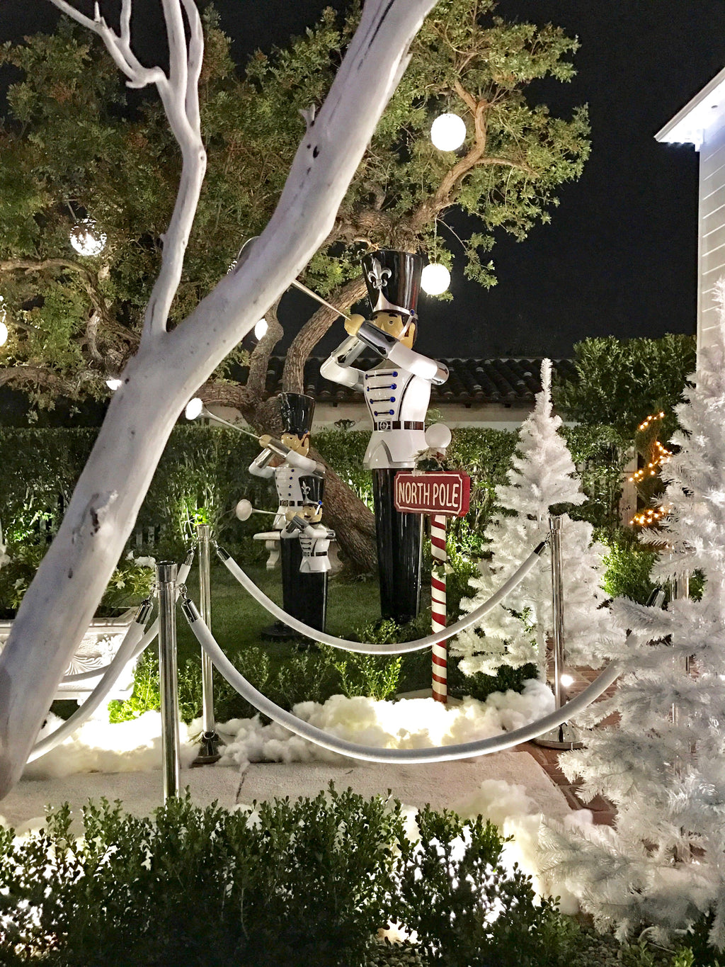 Silver Stanchions w/ White Ropes