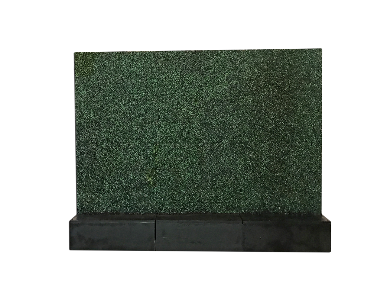 Hedge Wall With Black Base