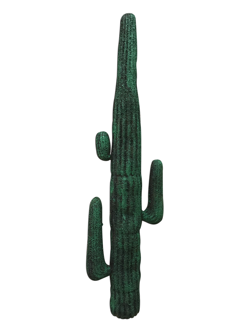 Desert Cactus