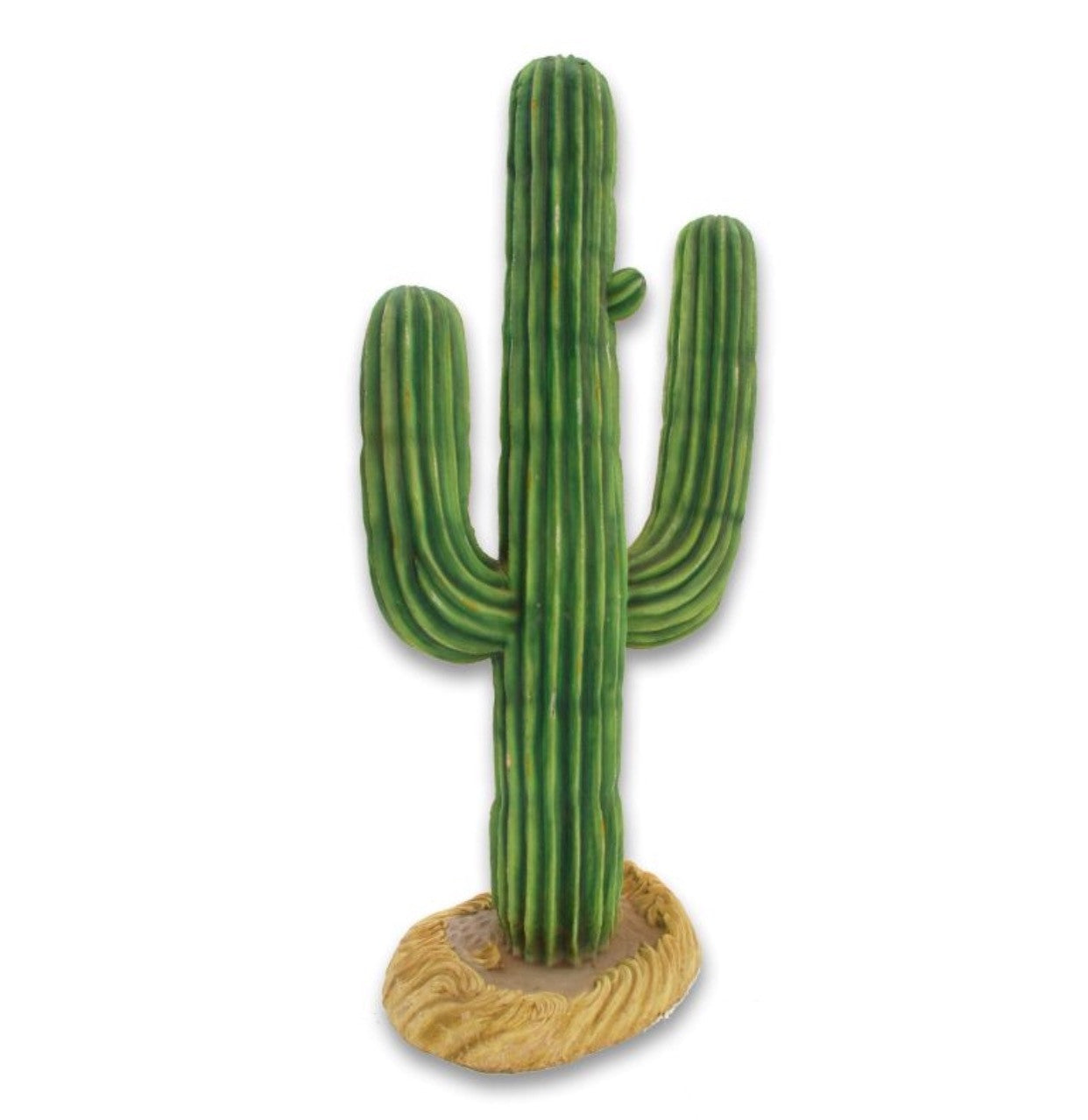 Western Cactus