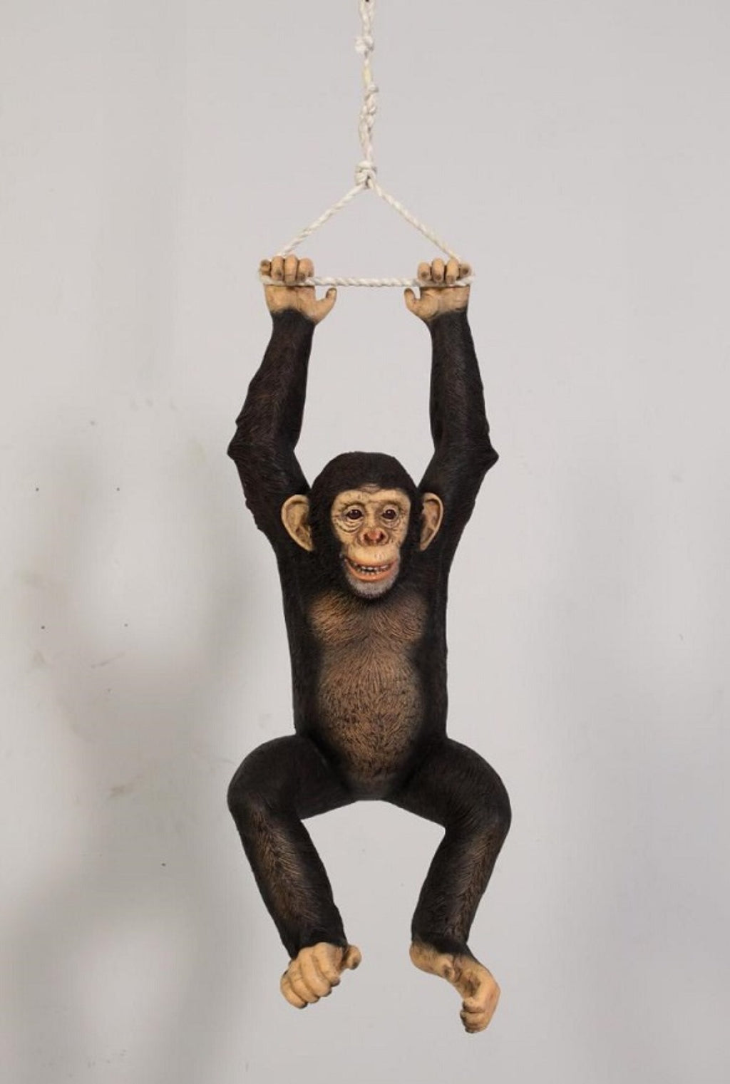 Two Handed Hanging Monkey