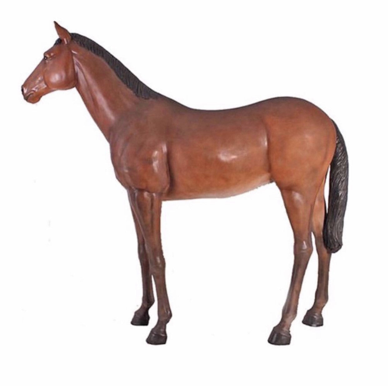 Large Dark Brown Horse