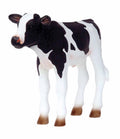 Cow Calf