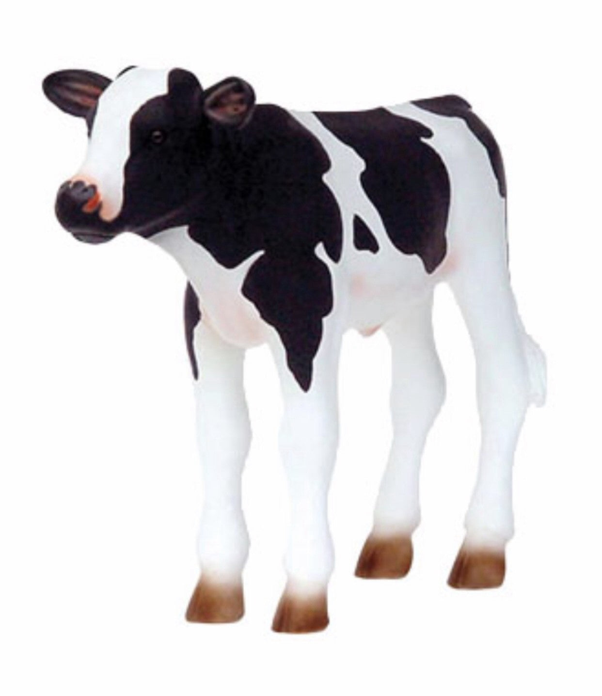 Cow Calf