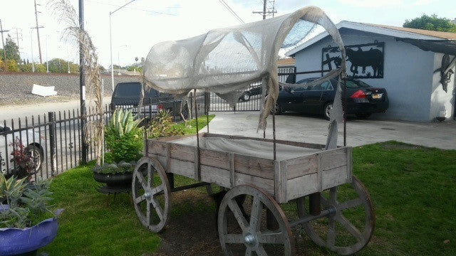 Covered Western Wagon