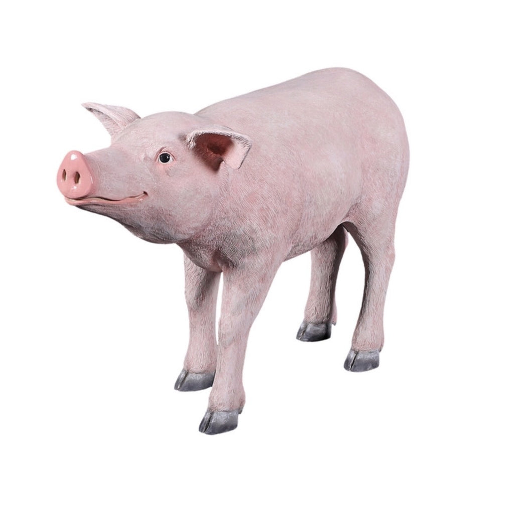 Pig