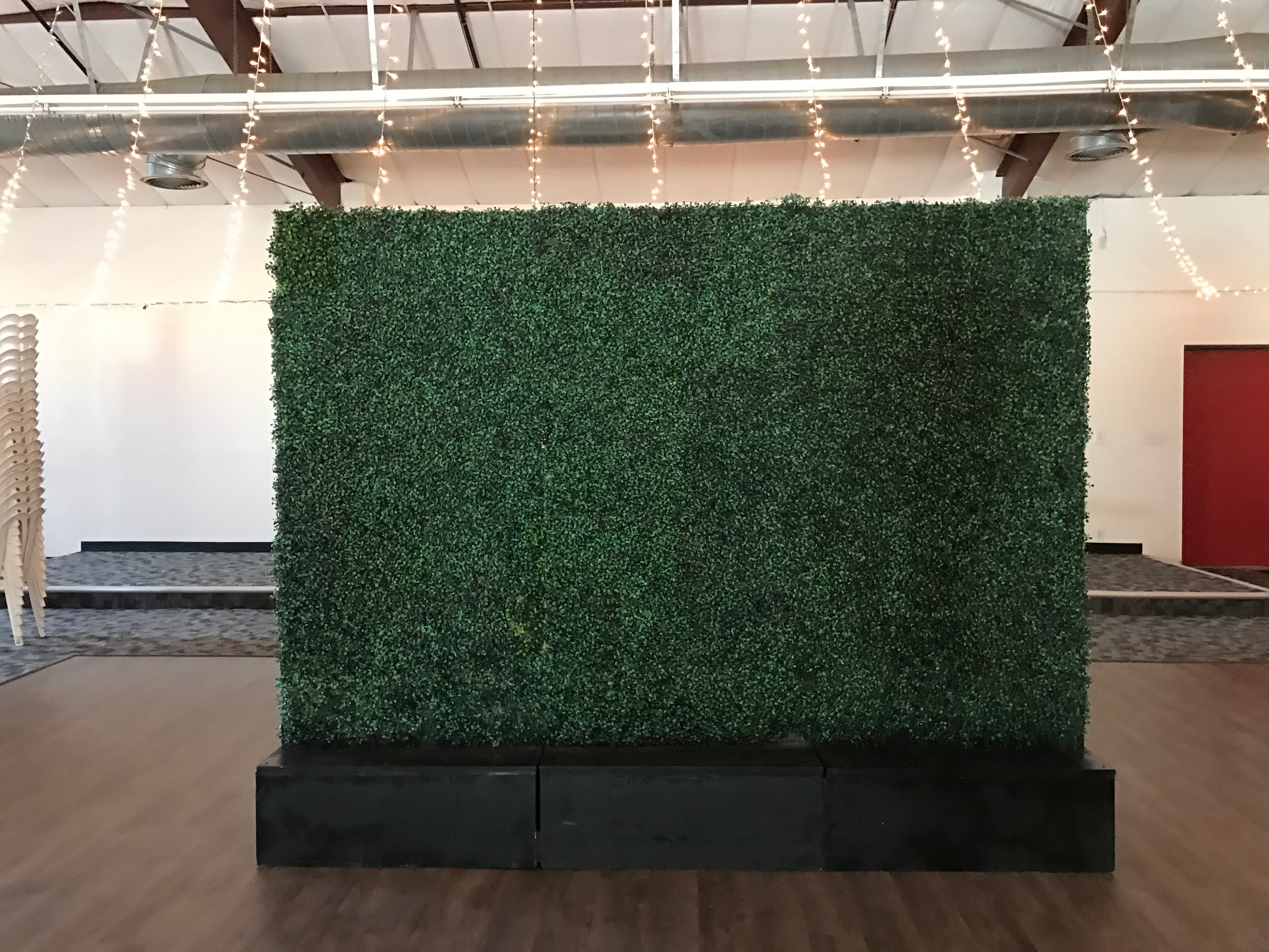 Hedge Wall With Black Base