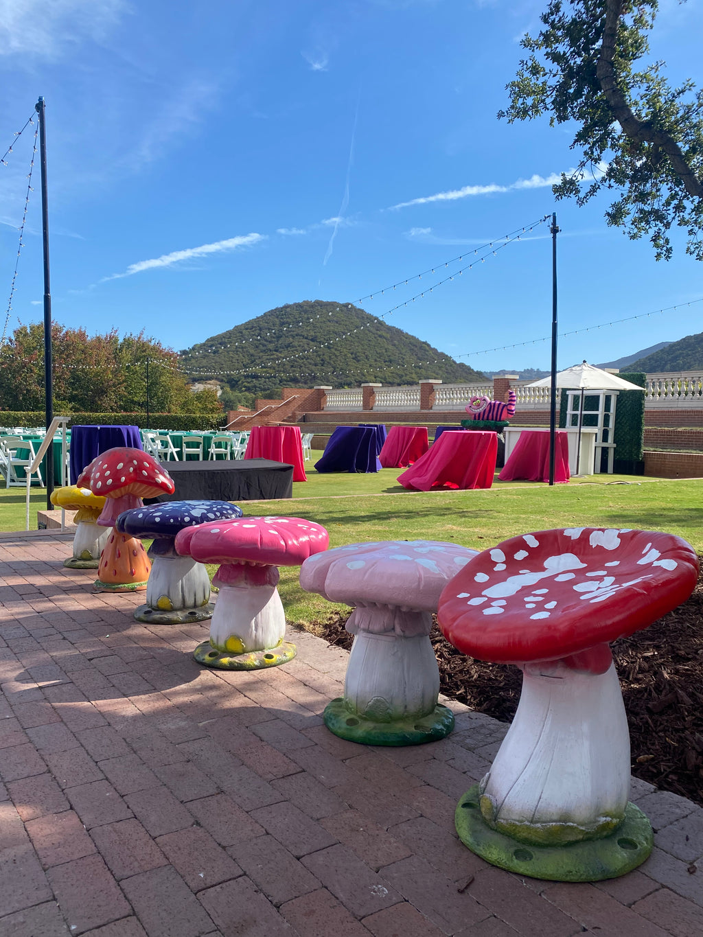 Green Top Mushroom Stool