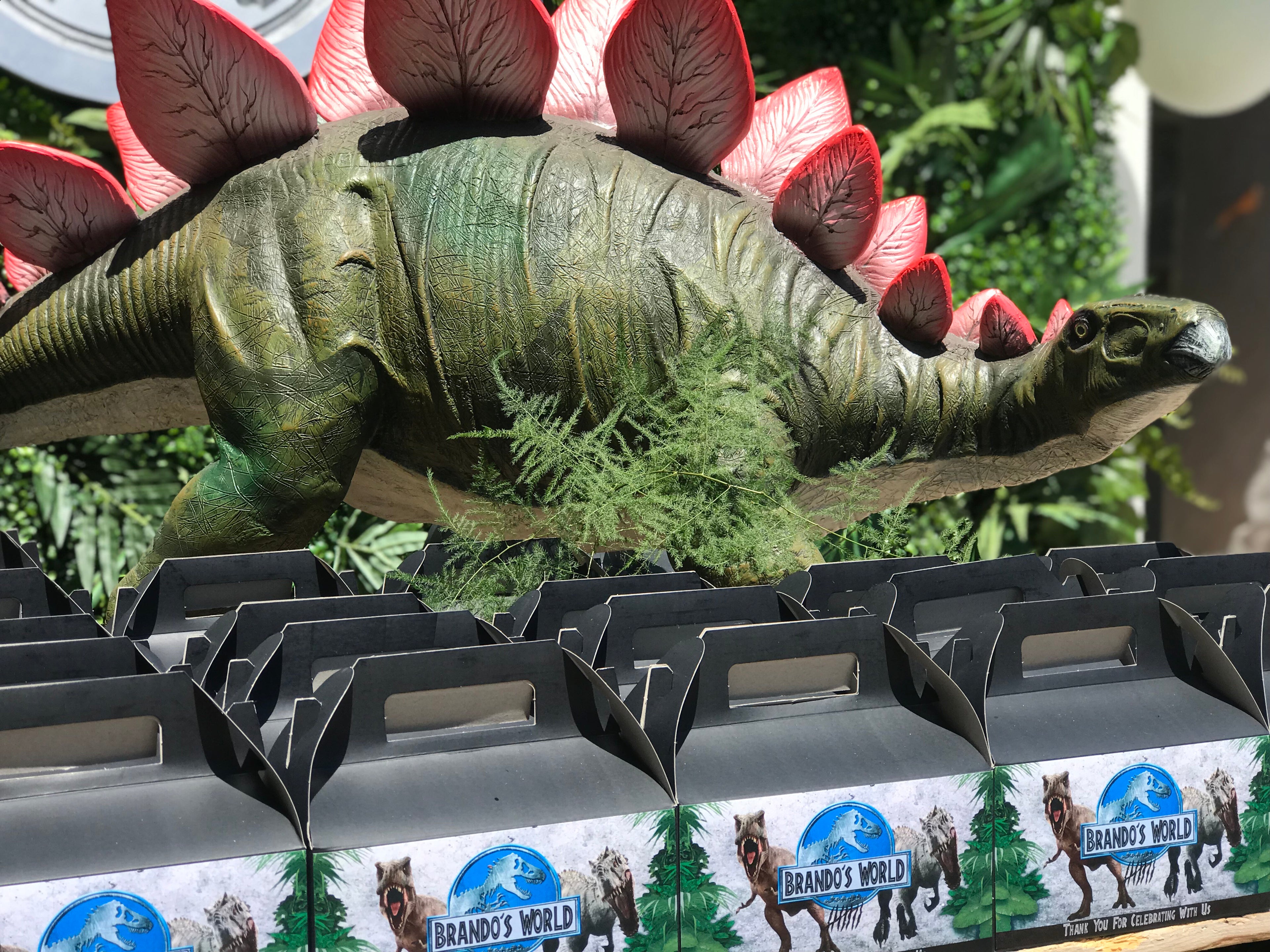 Baby Stegosaurus Dinosaur