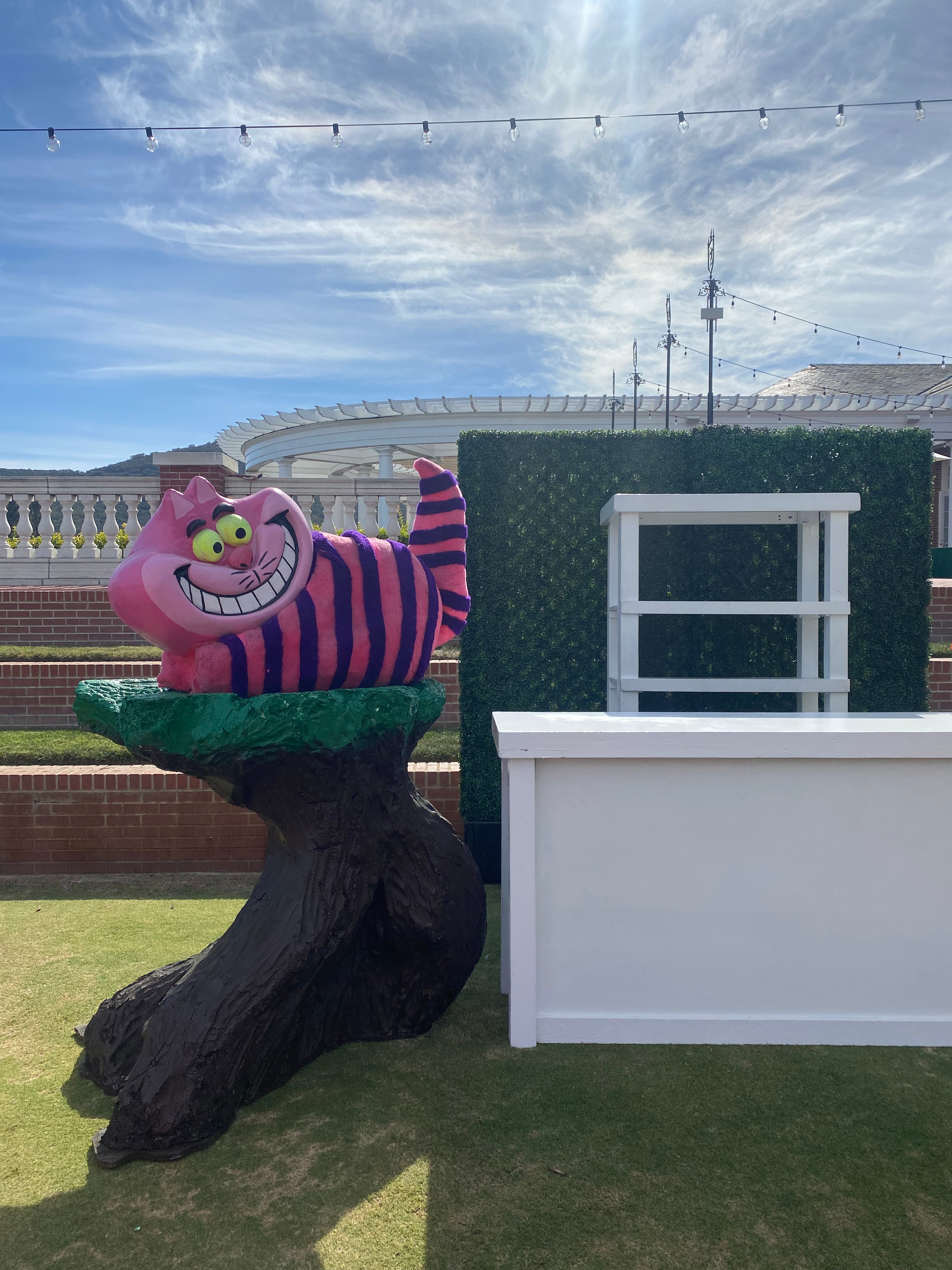 Cheshire Cat with Tree Stump