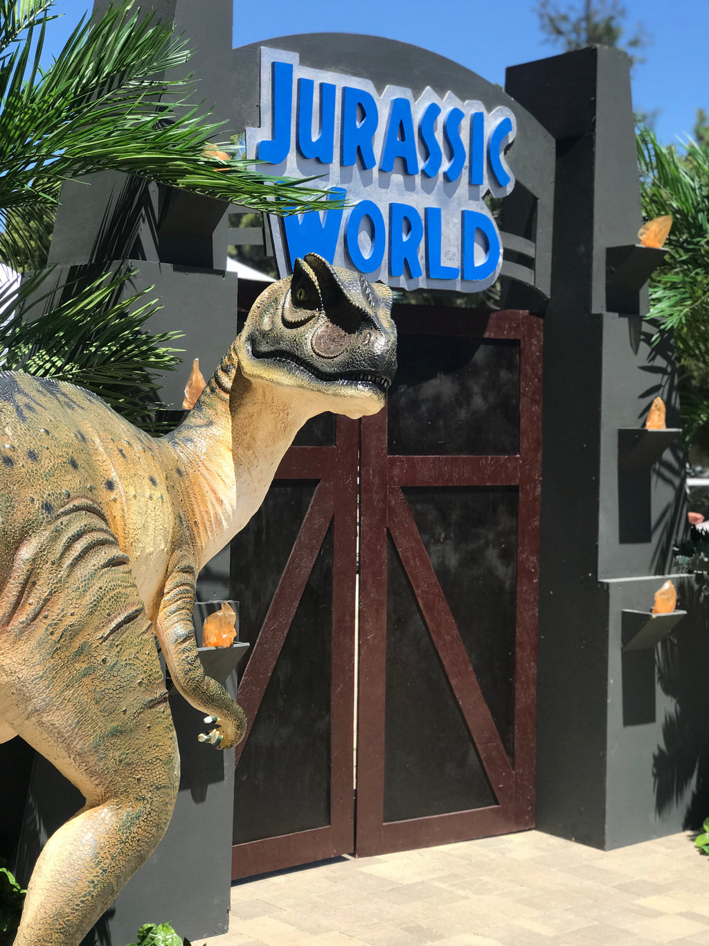 Head Turned Allosaurus Dinosaur