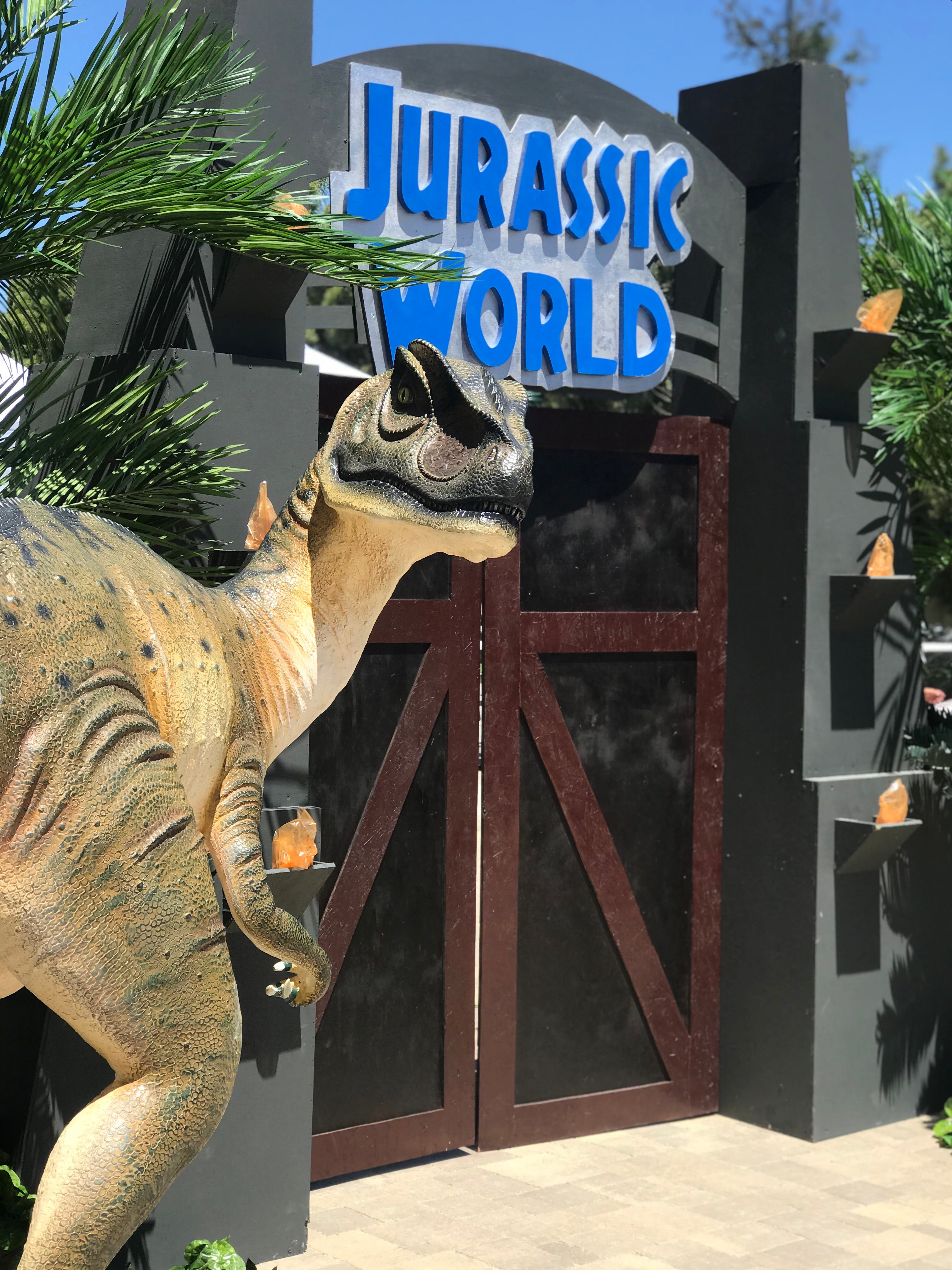 Head Turned Allosaurus Dinosaur