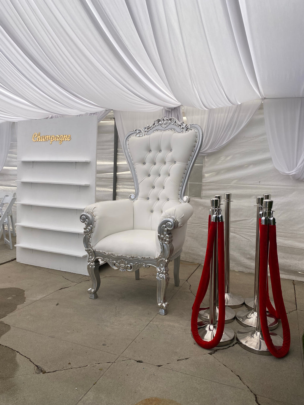 Silver Stanchions w/ Red Ropes