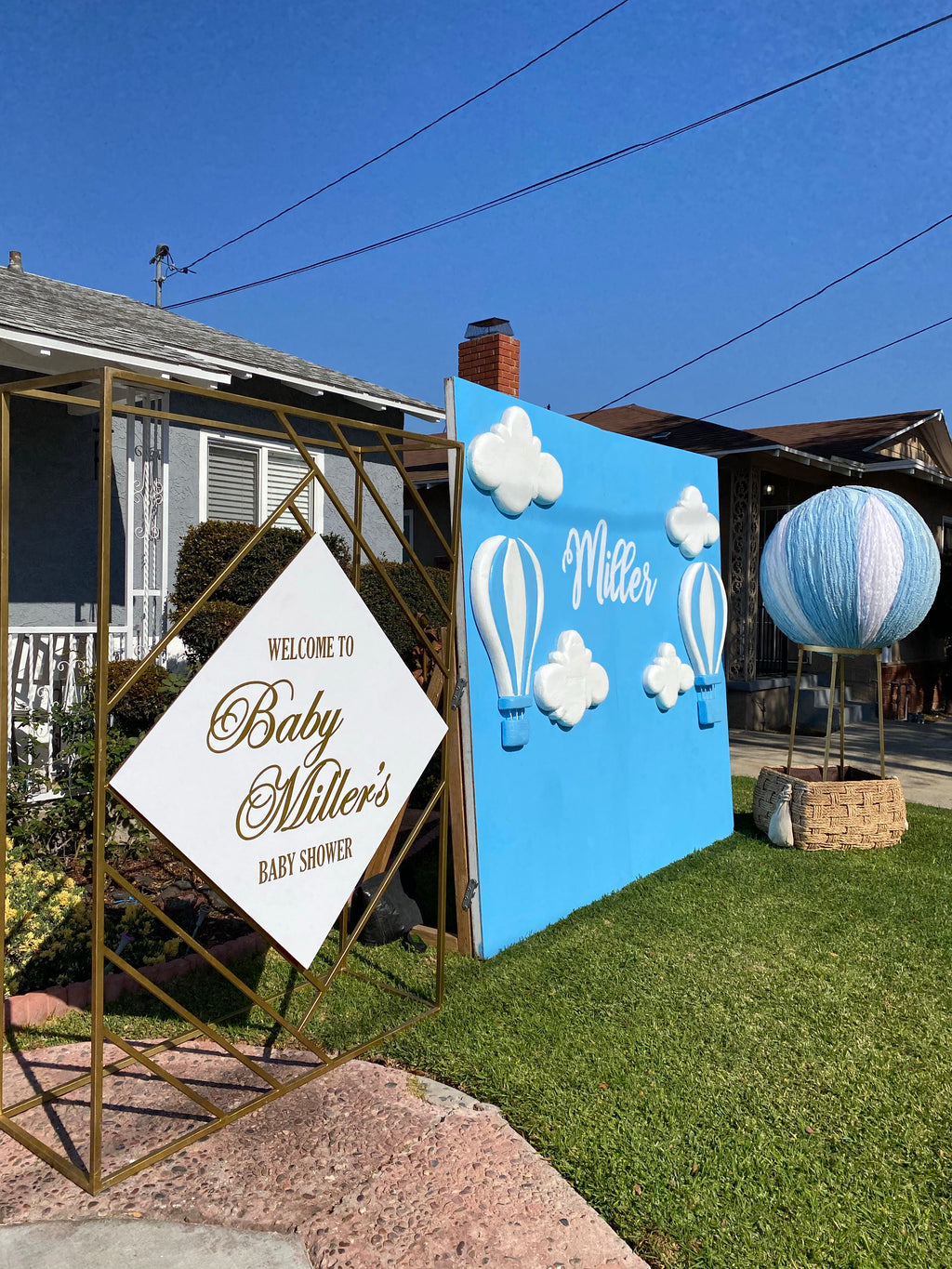 Hot Air Balloon Backdrop