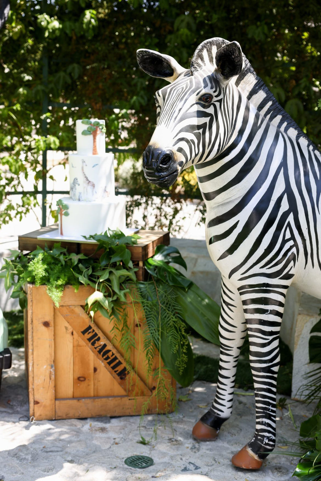 Adult Standing Zebra