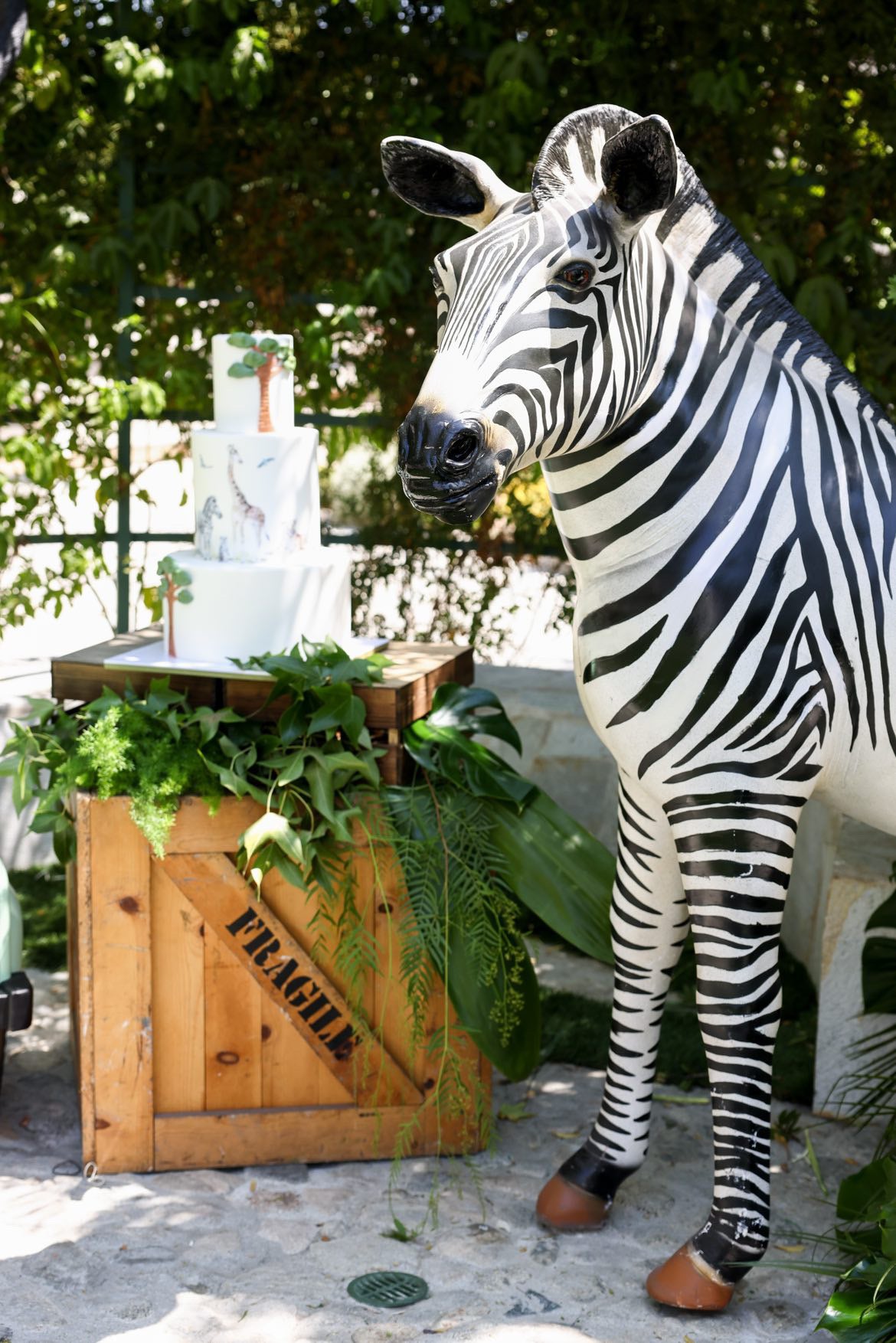 Adult Standing Zebra