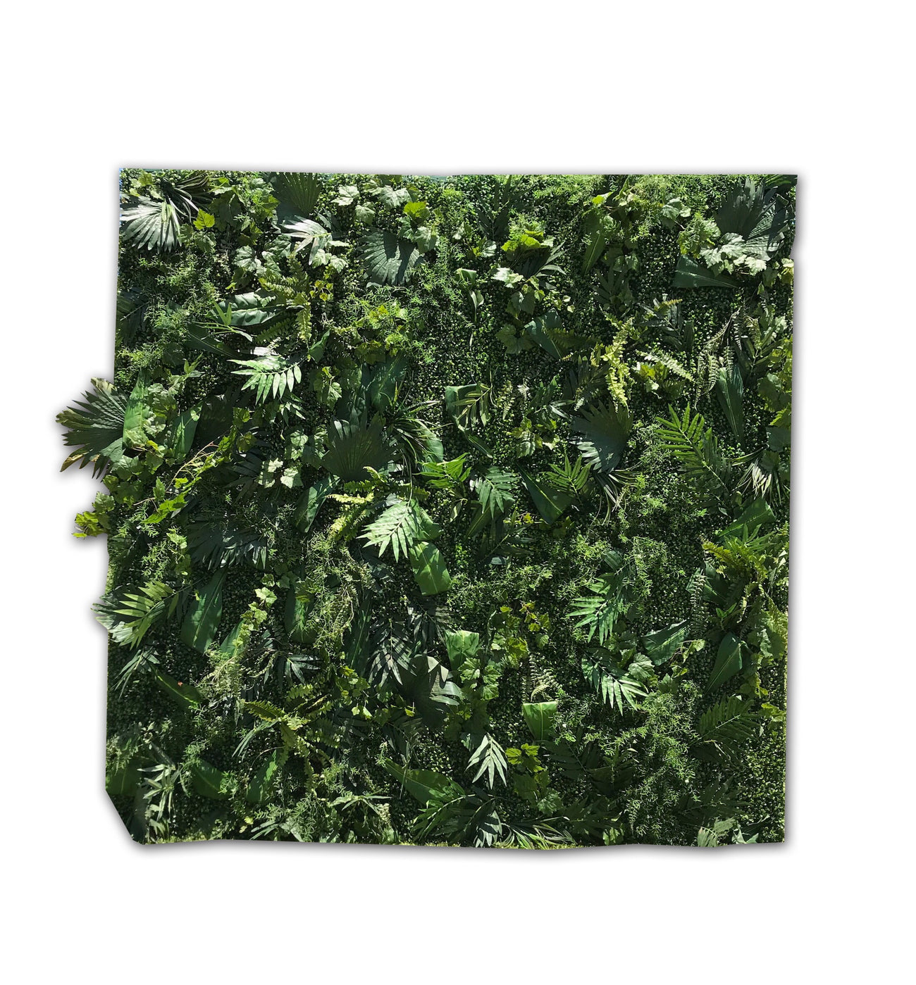 Foliage Wall Backdrop