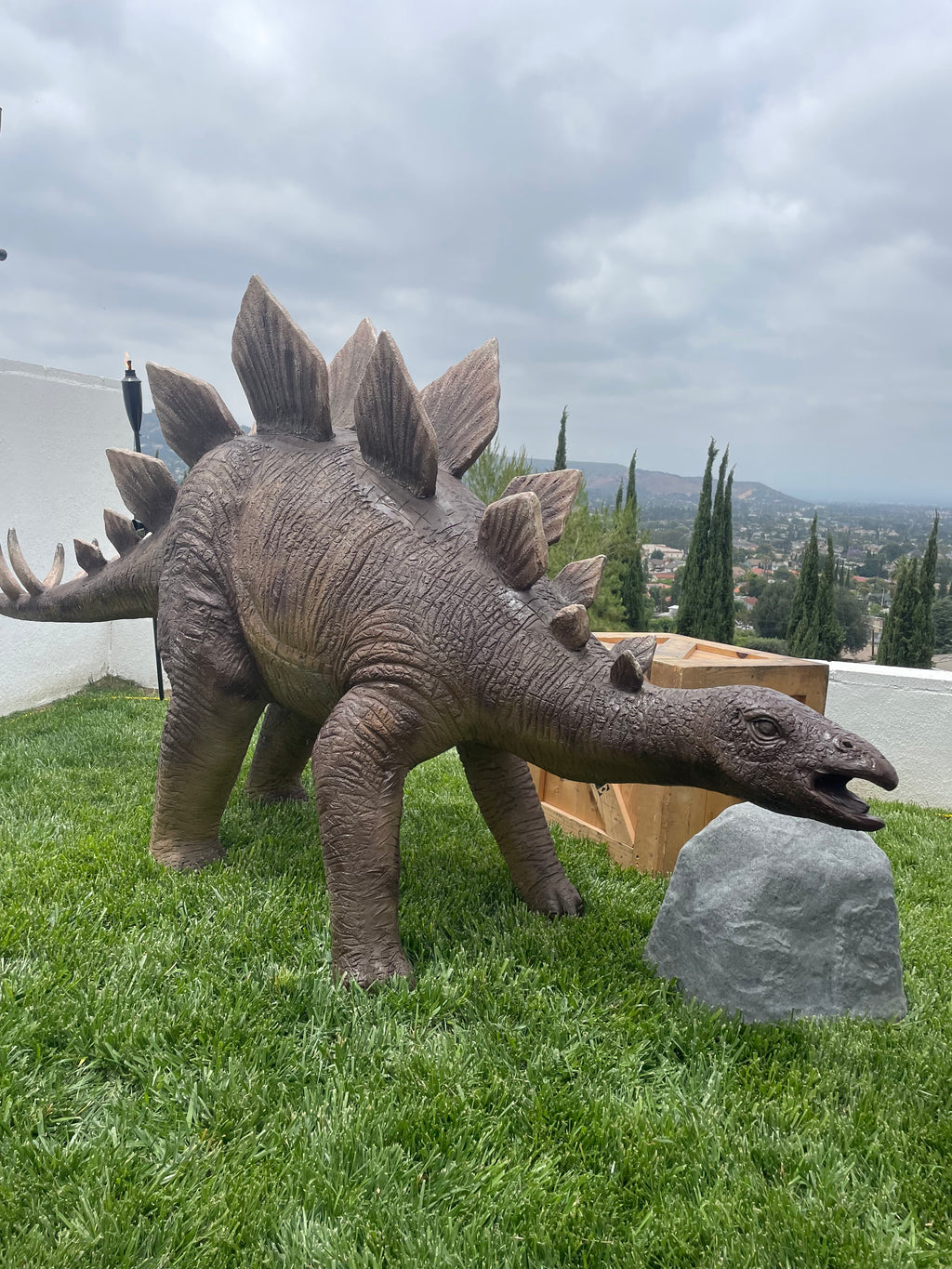 Stegosaurus Dinosaur