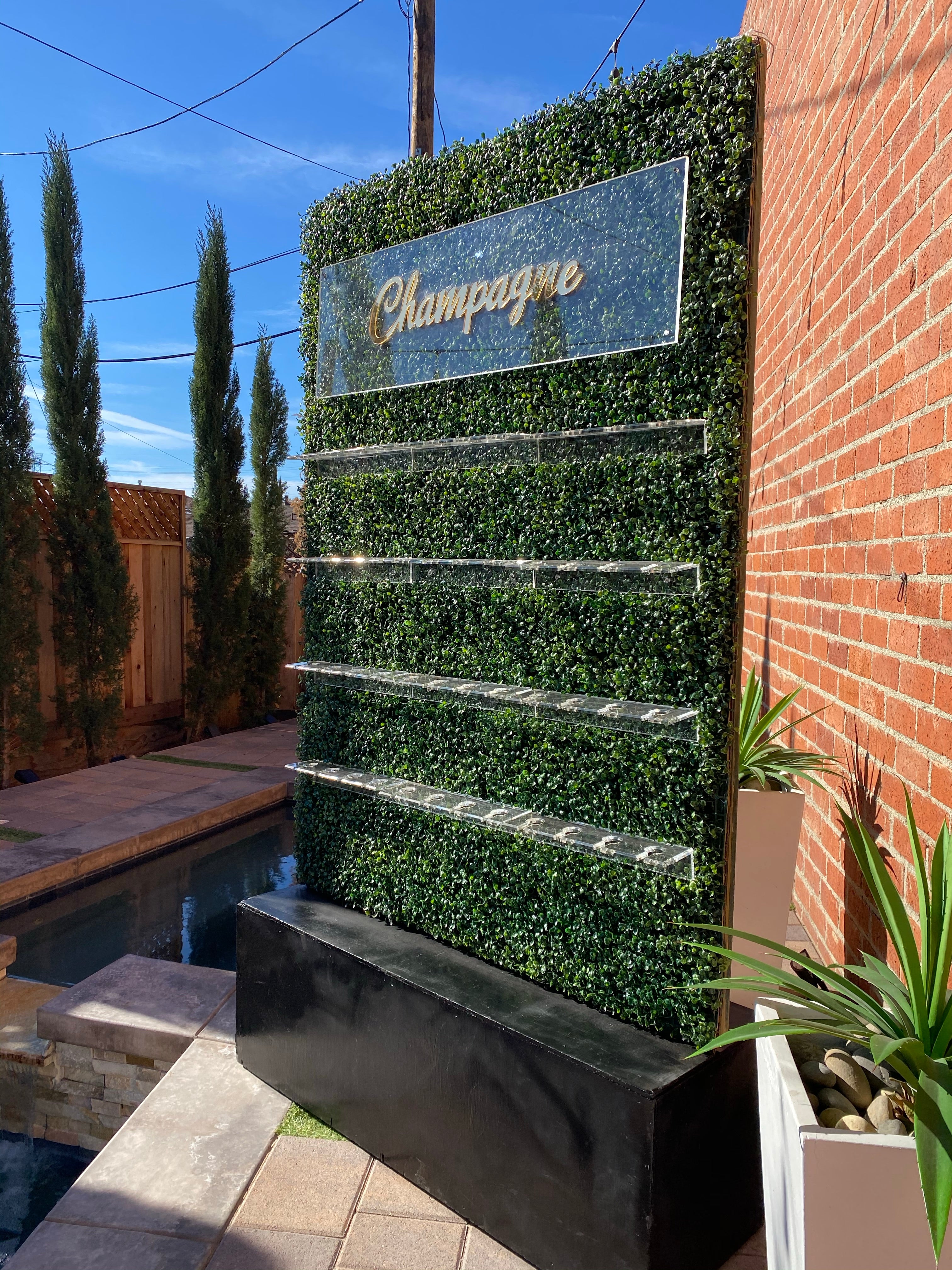 Champagne Hedge Wall Display