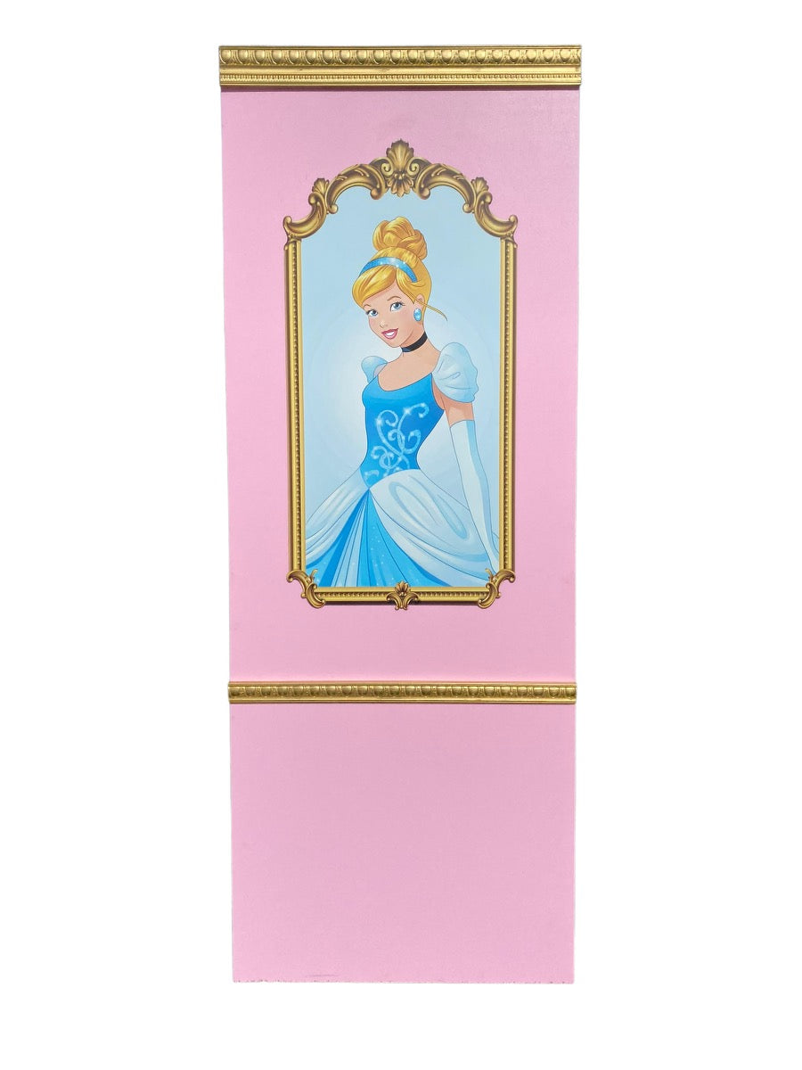 Princess Cinderella Backdrop Panel