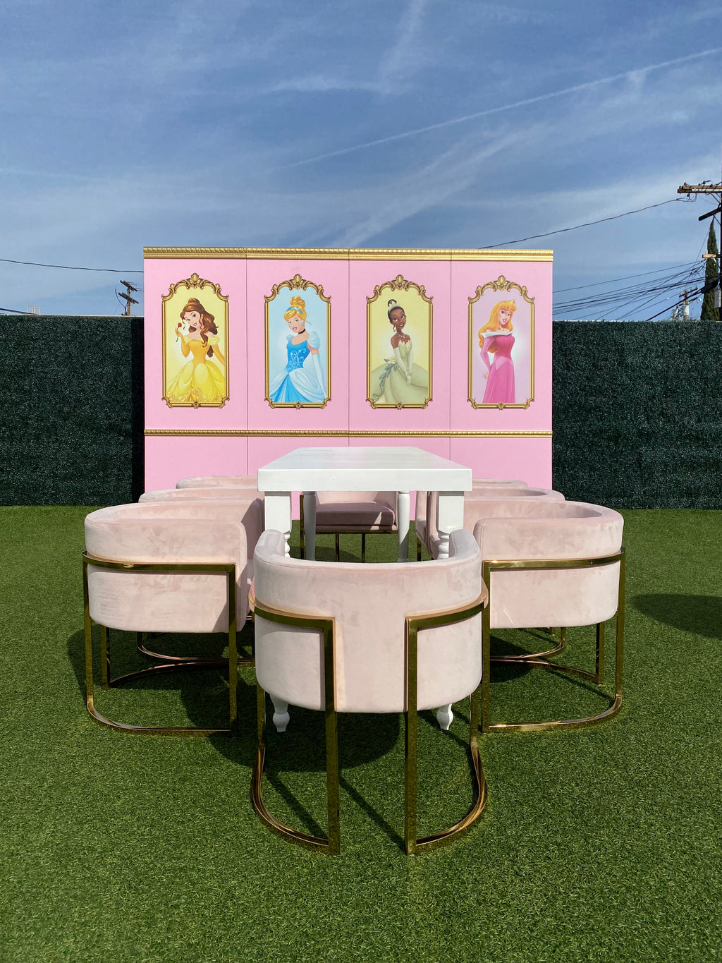 Princess Aurora Backdrop Panel