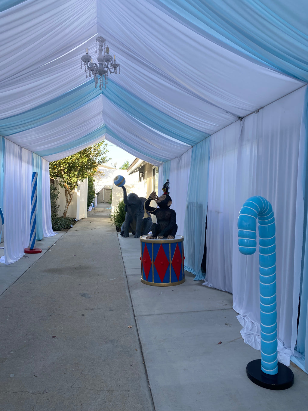 Blue & White Candy Cane