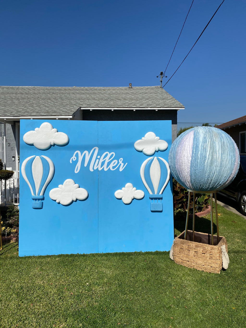 Hot Air Balloon Backdrop