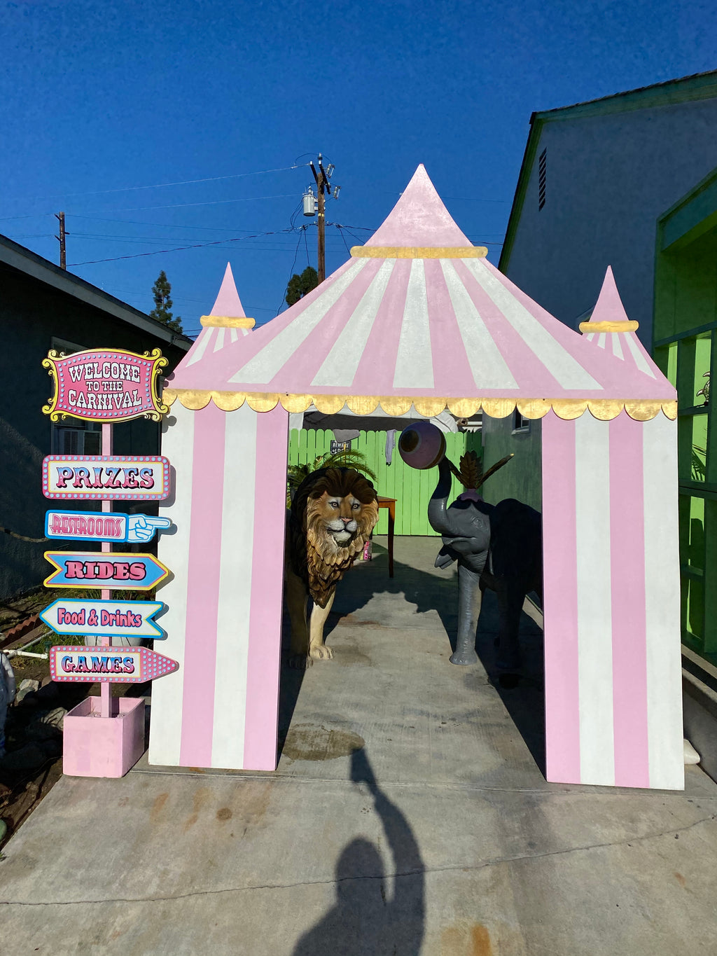 Light Pink Circus/Carnival Package