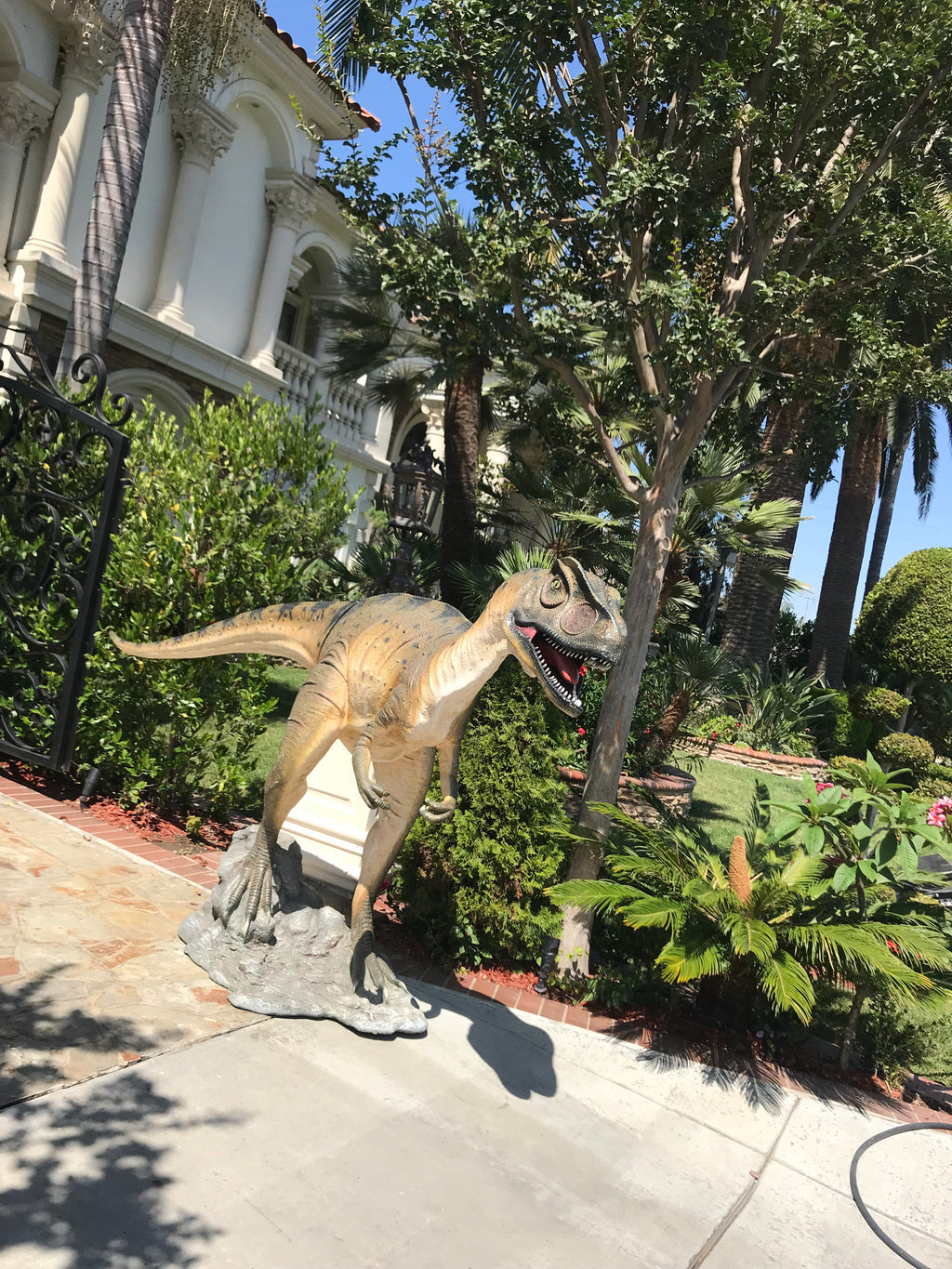 Allosaurus Dinosaur