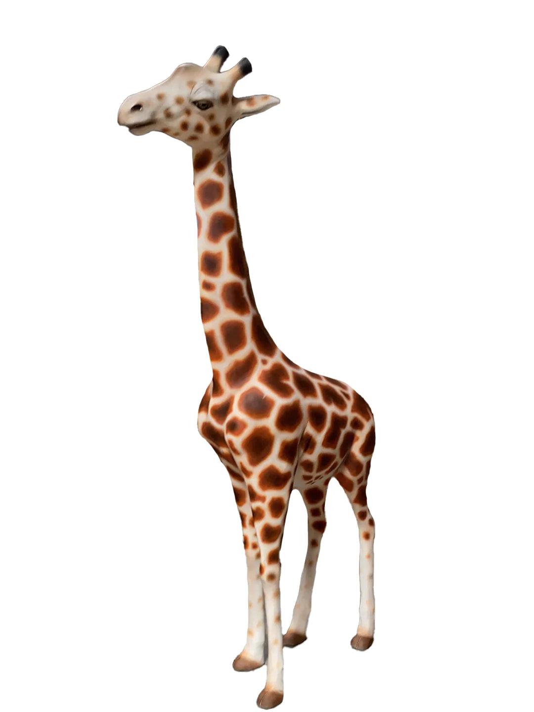Baby Walking Giraffe