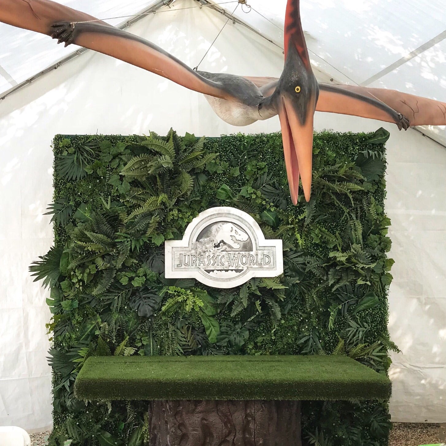 Pteranodon Flying Dinosaur