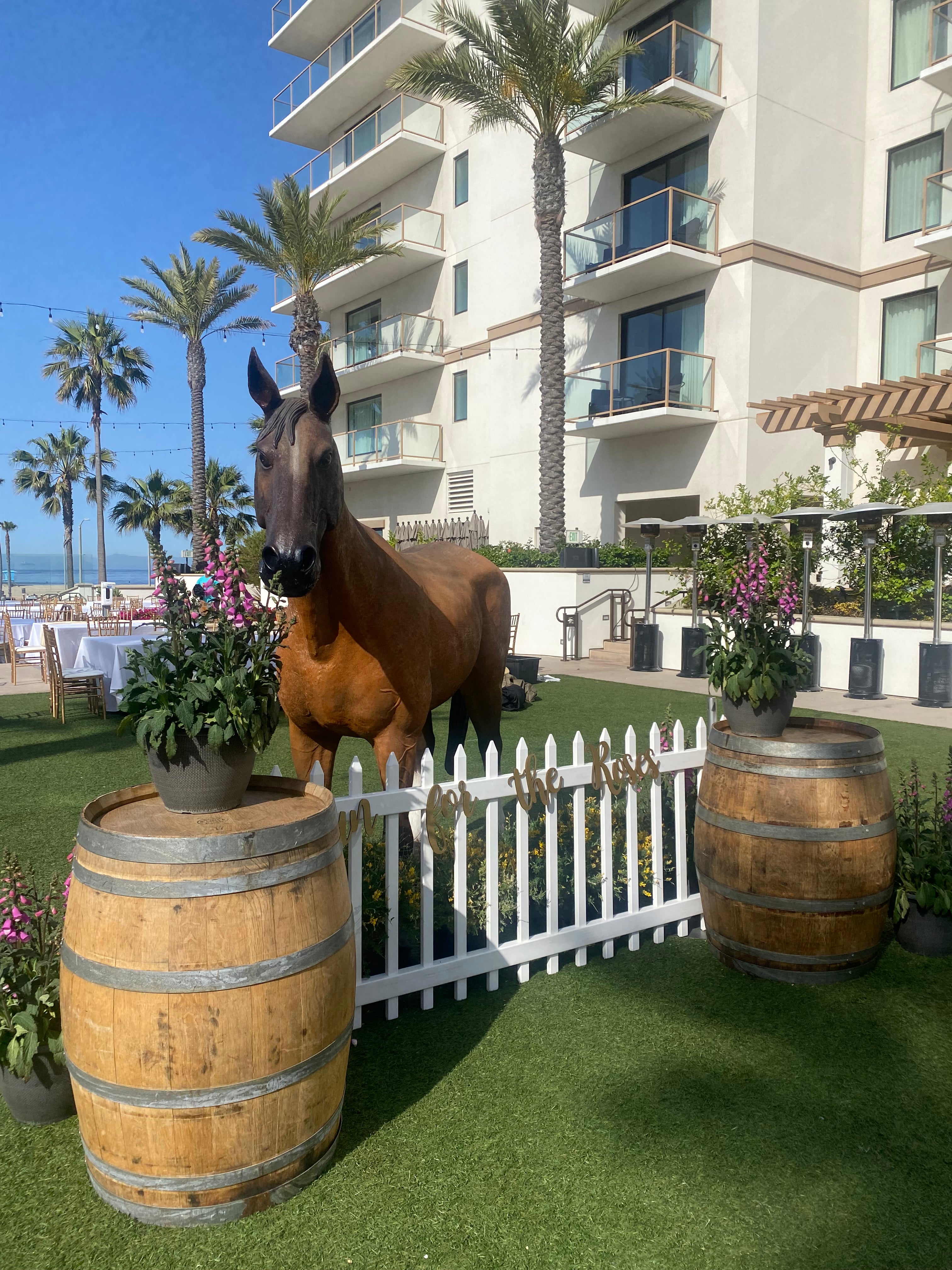 Large Tan & White Horse