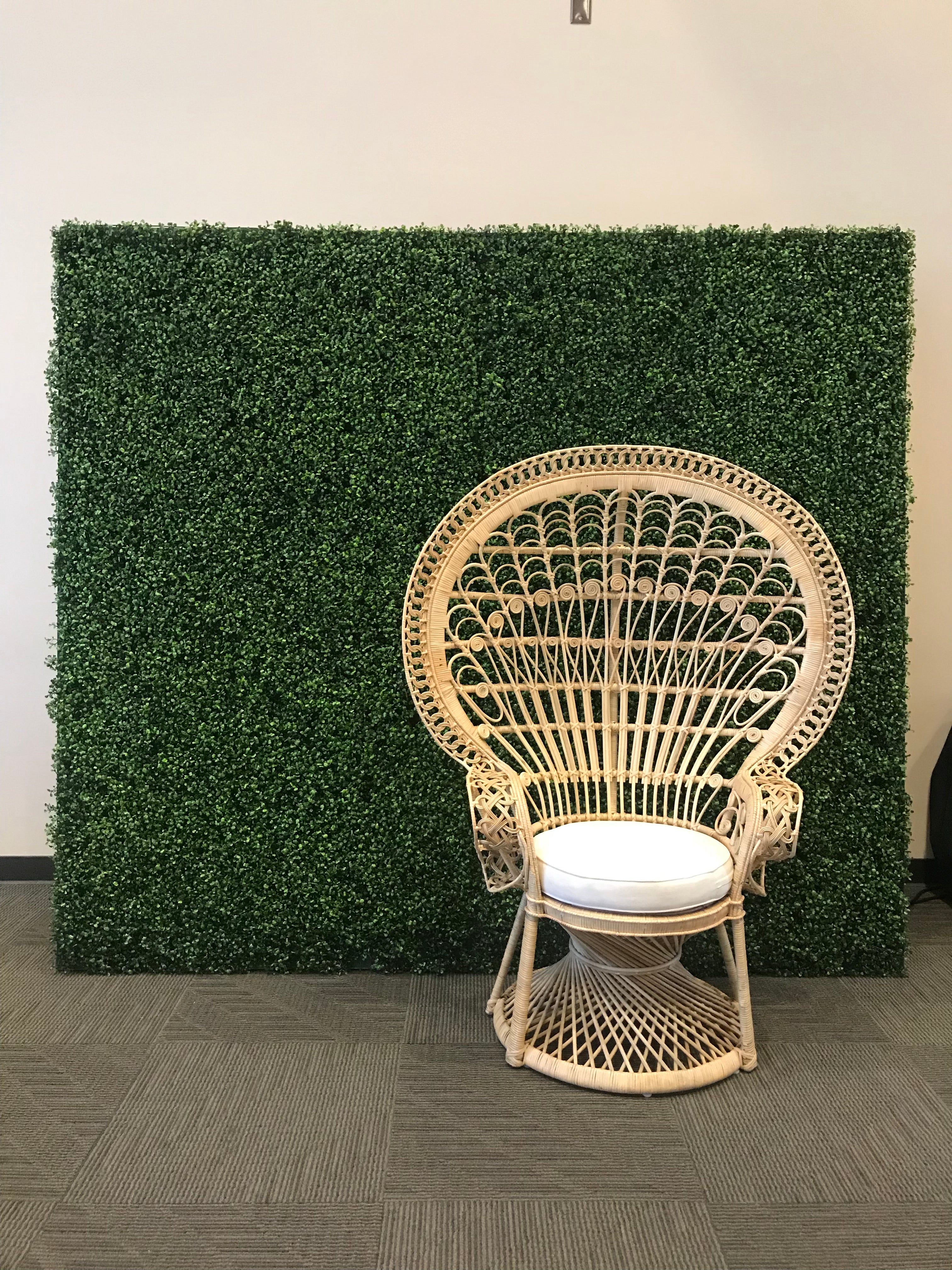 Adult Traditional Peacock Chair