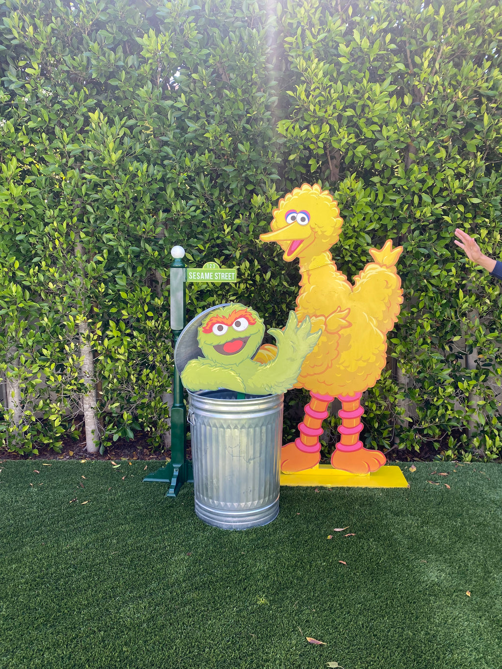 Medium Sesame Street Sign