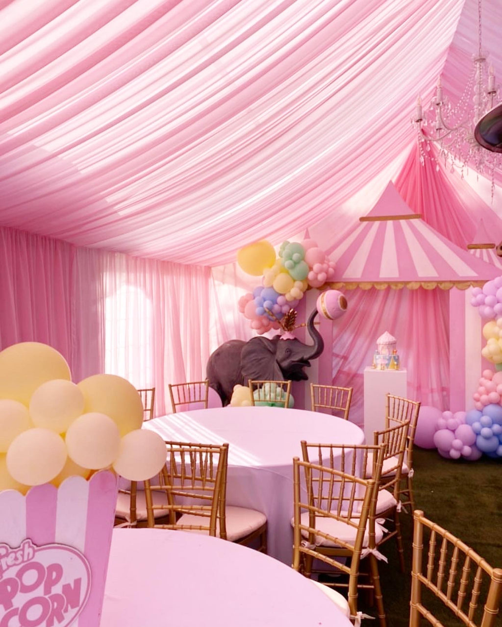 Light Pink Circus / Carnival Tent Backdrop
